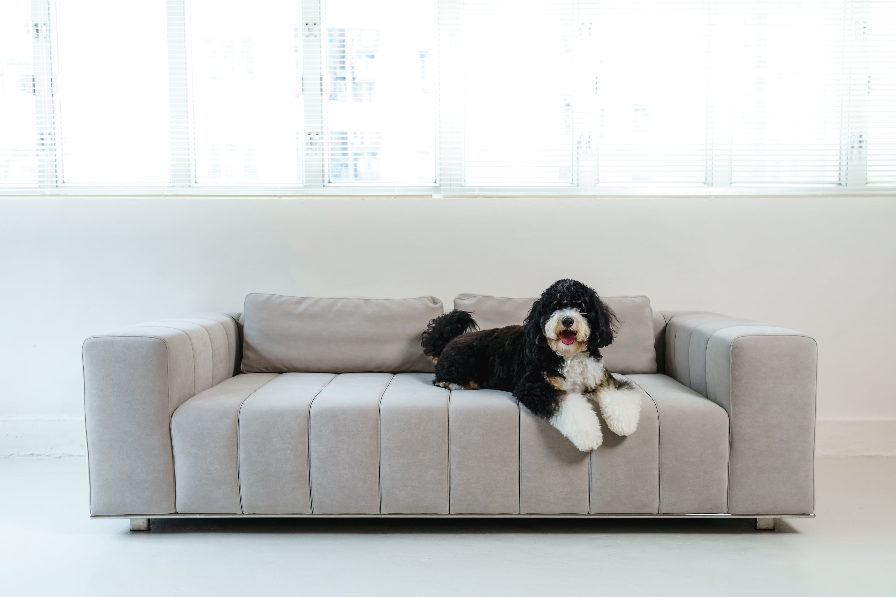 PENTA LIVING Furniture in Hong Kong Customizable Sofas