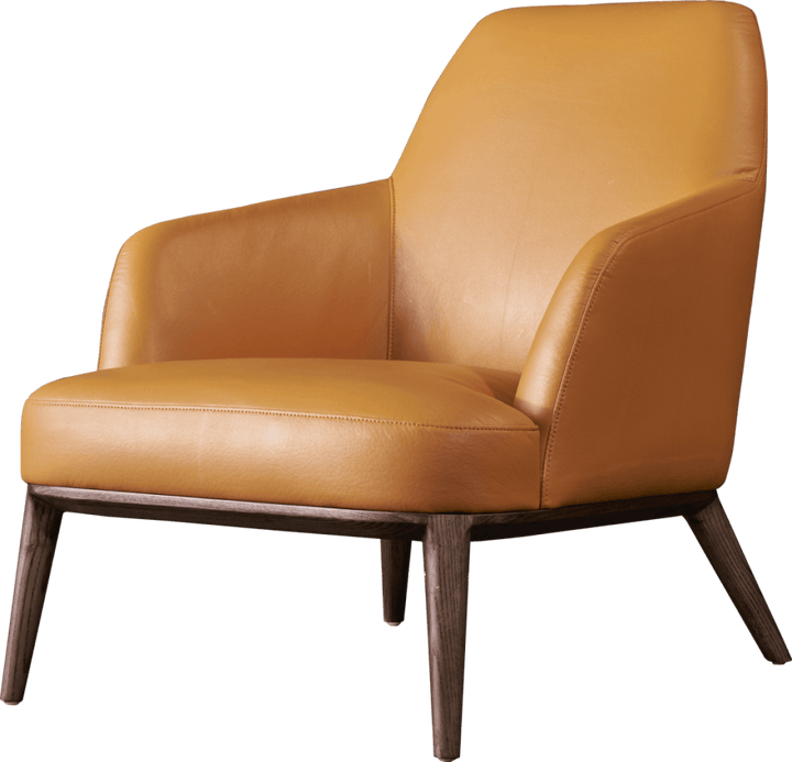 Tiyus Lounge Chair - Penta Living